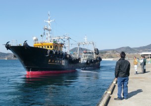 以西底曳網漁に出港する漁船